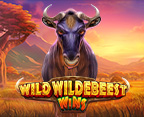 Wild Wildebeest Wins